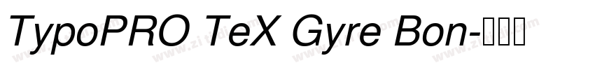 TypoPRO TeX Gyre Bon字体转换